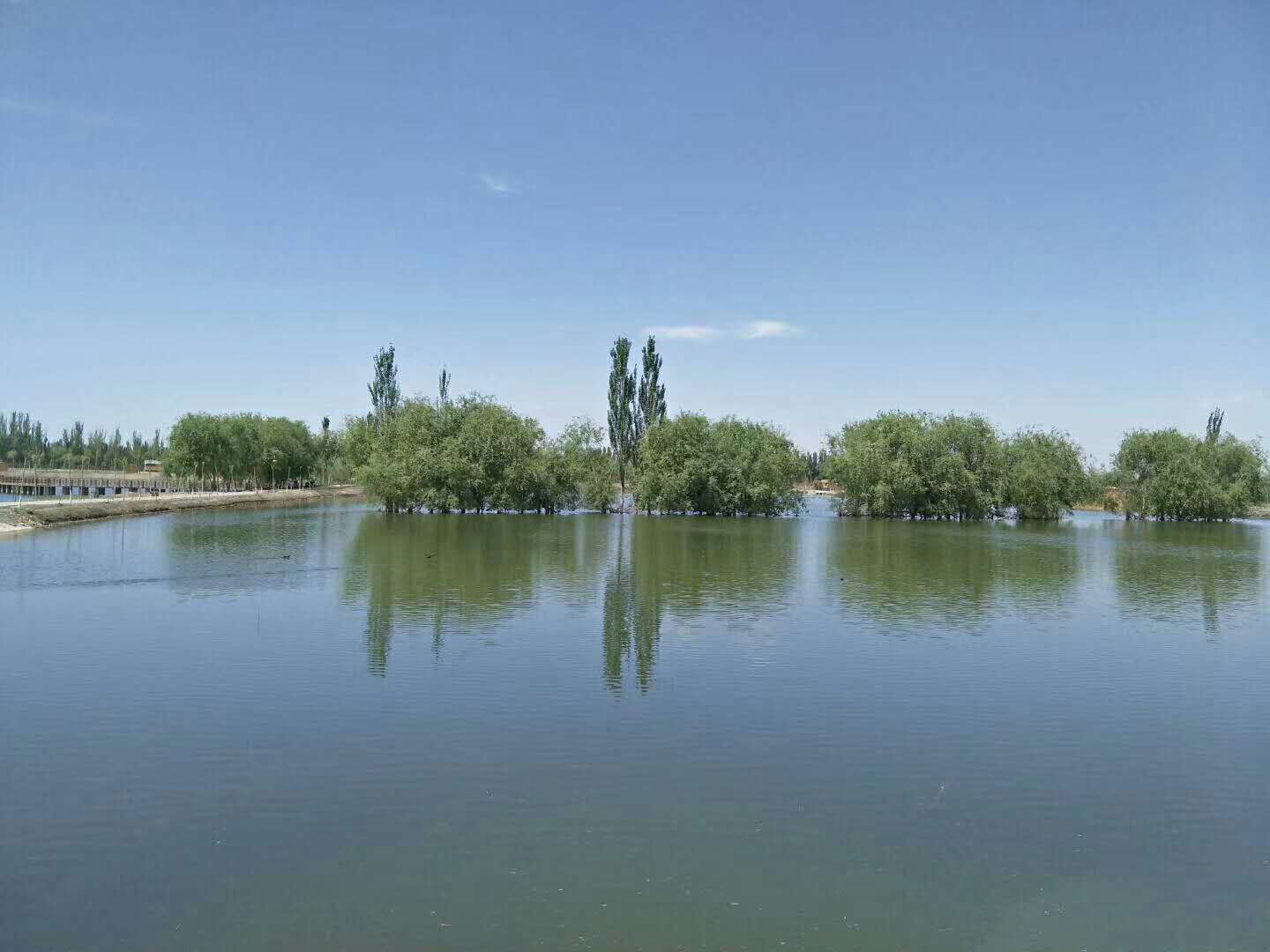 湿地公园1
