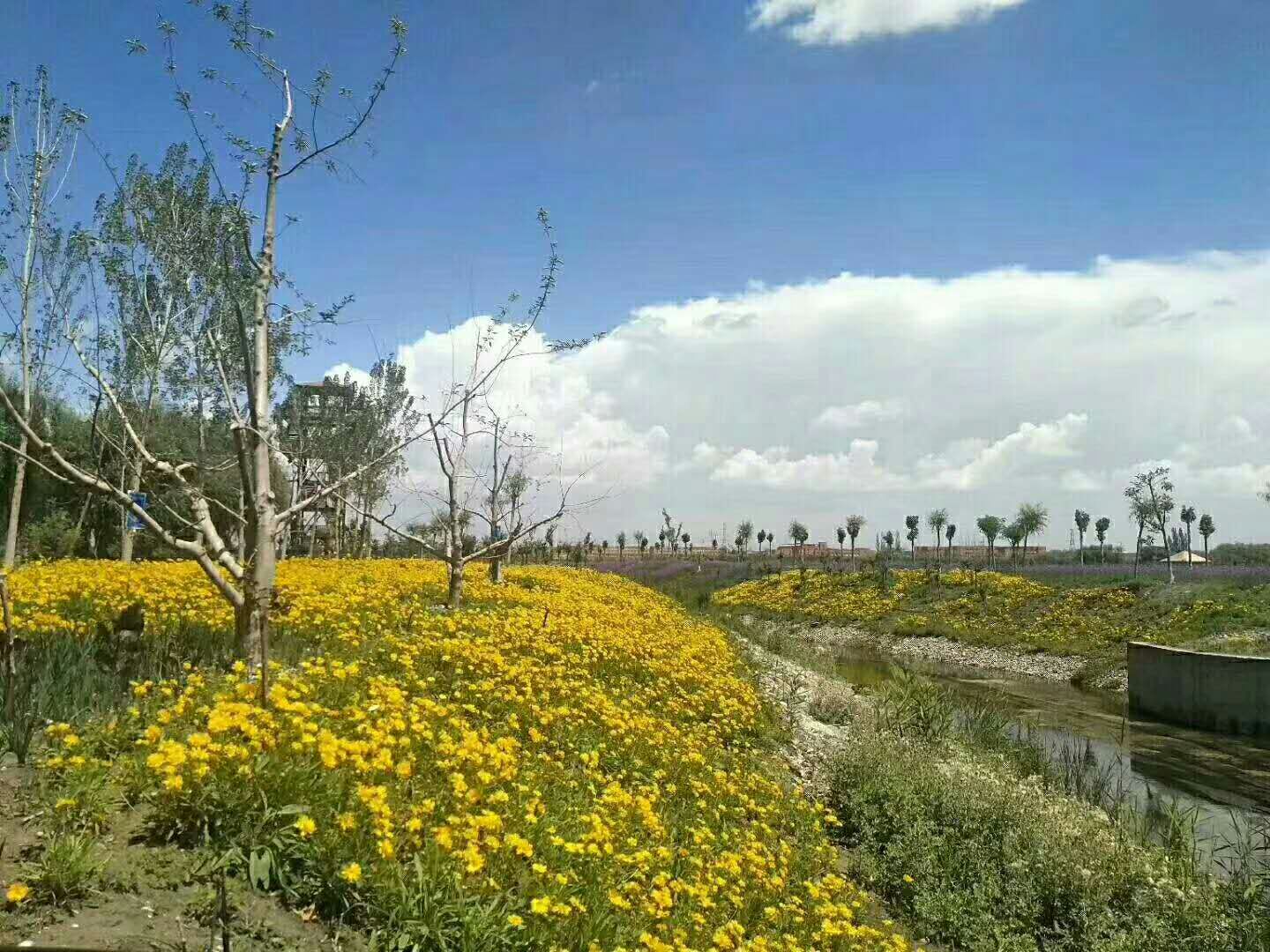 湿地公园5
