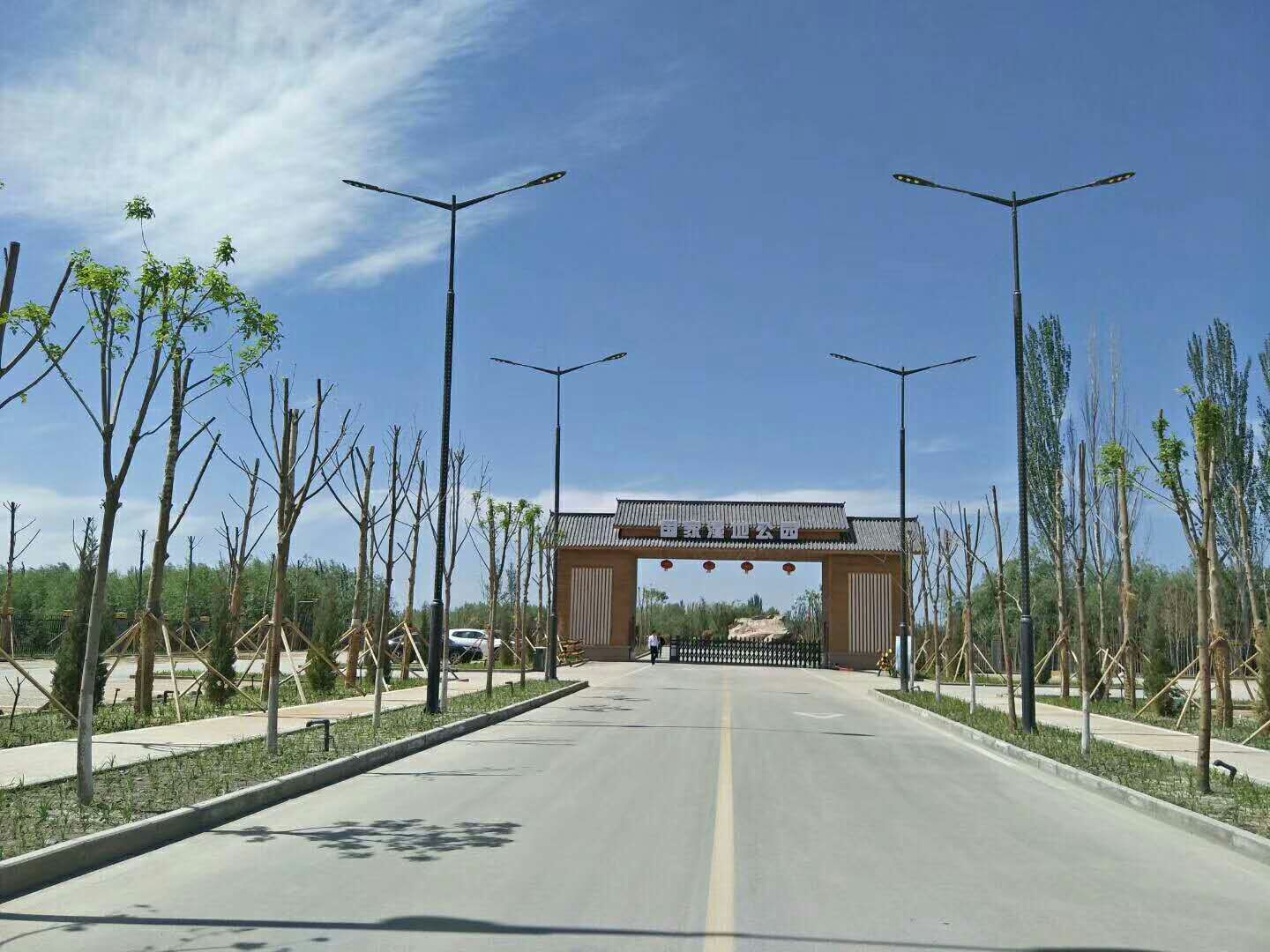 湿地公园8